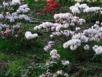 12-05-2006_19-39-32_198