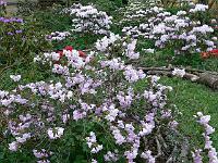 13-05-2006_07-20-07_08