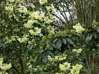 13-05-2006_10-58-19_247