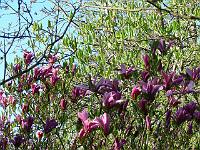 14-05-2006_08-23-26_180