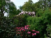 18-05-2007_17-01-55_17