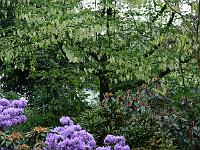 20-05-2006_07-04-20_08