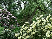 20-05-2006_07-09-10_88