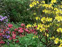 20-05-2006_07-13-11_154