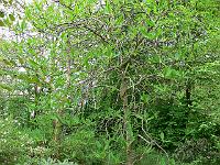 20-05-2006_08-38-15_43