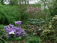 20-05-2006_08-40-37_83