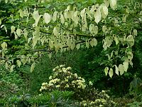 20-05-2006_08-42-37_116