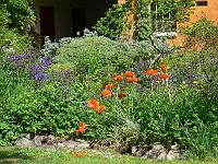 2008-05-29_10-11-33_0001