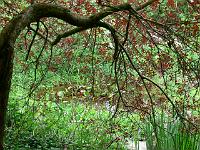 21-05-2006_16-48-20_18