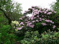 21-05-2006_16-51-55_74