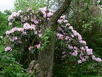 21-05-2006_17-40-49_05