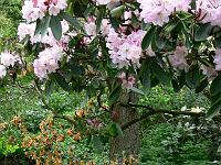 21-05-2006_17-42-10_28