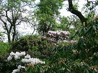 21-05-2006_17-43-59_58