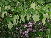 21-05-2006_20-50-03_122