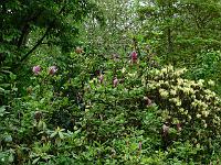 23-05-2006_11-26-00_194