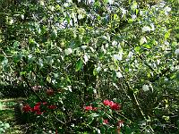 23-05-2006_18-34-20_196