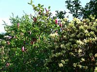 23-05-2006_18-35-18_212