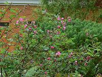 24-05-2006_18-35-24_200