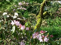 25-05-2006_09-19-43_114