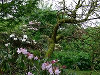 25-05-2006_09-20-21_124