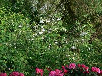 26-05-2006_19-15-56_47