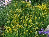 28-05-2007_17-54-57_10