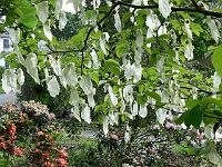 30-05-2006_10-13-29_37