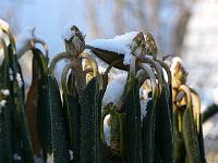 05-03-2006_08-42-34_106