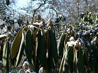 05-03-2006_11-10-33_41