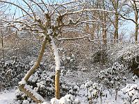 07-03-2006_08-26-05_04