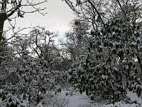 07-03-2006_08-30-40_77