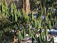 13-03-2006_09-01-01_06