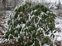 2010-03-09_11-22-07_0085