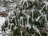 2010-03-09_11-22-39_0091