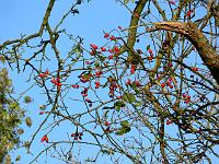 07-11-2006_14-46-57_27