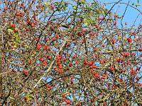 07-11-2006_14-47-07_30