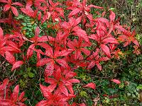 2008-11-05_11-04-14_0004