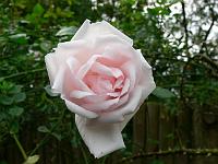 09-10-2006_15-34-28_31