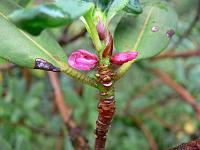 24-10-2006_15-13-18_29