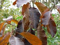 28-10-2006_14-02-12_04