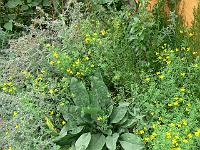 18-09-2006_16-47-55_03