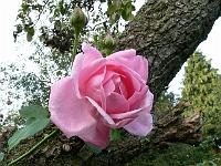 23-09-2006_17-40-22_41