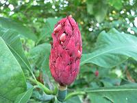 25-09-2006_17-49-54_05