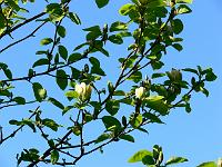 05-05-2007_18-36-49_59