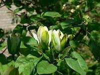 08-06-2006_12-37-52_22