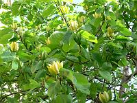 14-05-2007_08-42-26_21