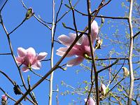 2009-04-18_14-25-47_0049