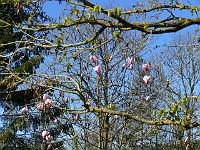 2009-04-18_14-30-14_0079