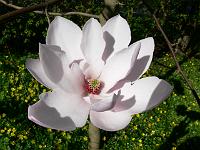 2009-04-20_14-28-47_0141