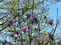 2009-04-21_16-45-59_0018